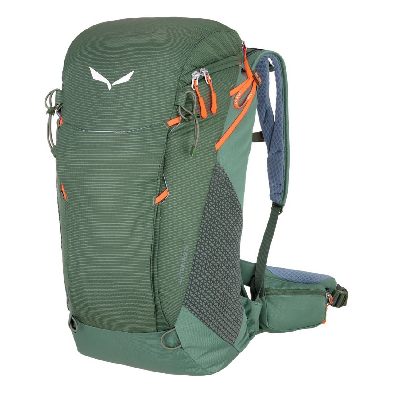 Mochilas Salewa Alp Trainer 25L Verdes 461CNAKWM